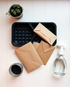 Hands seeding a small tray at home